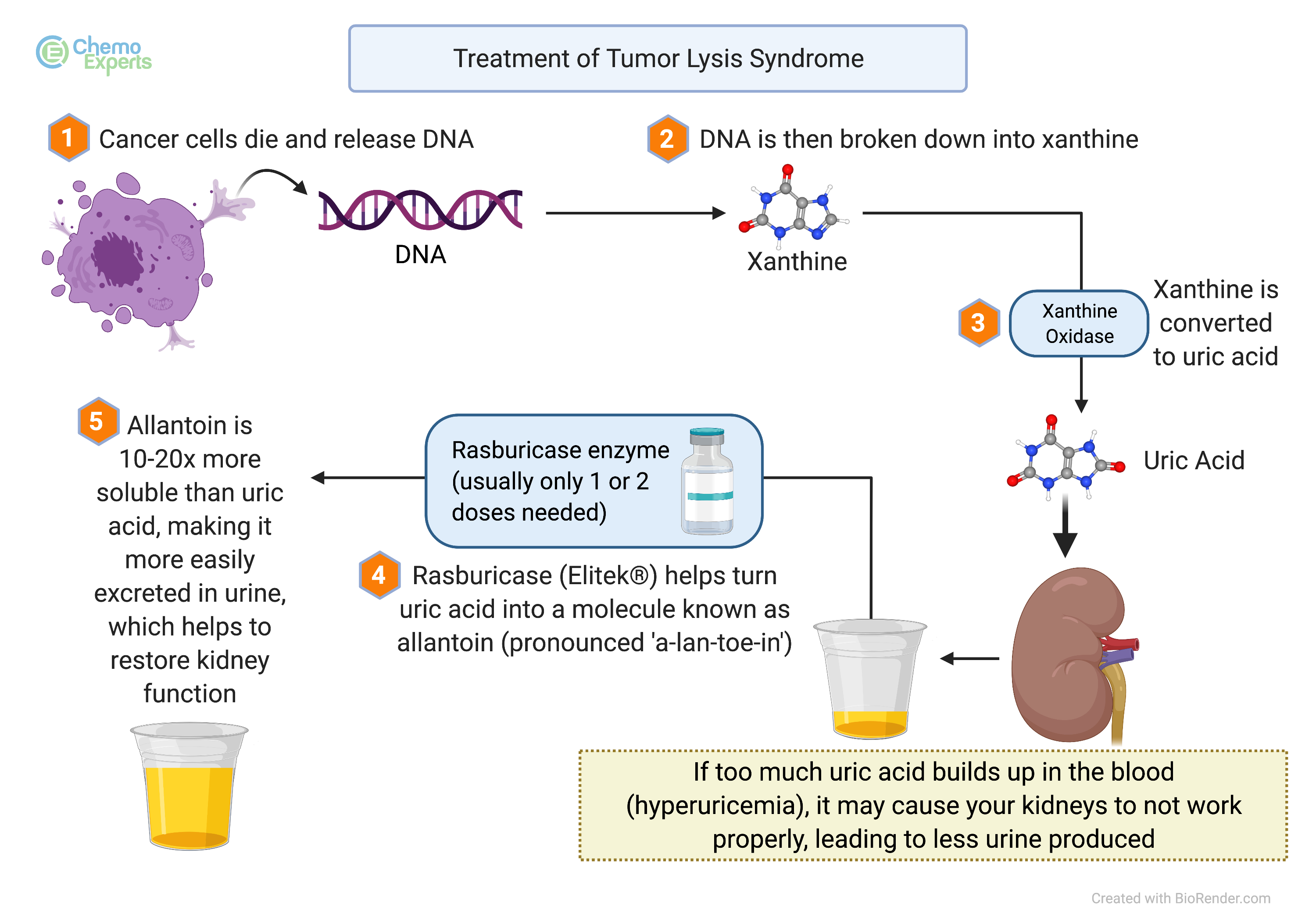 Tumor Lysis Syndrome ChemoExperts